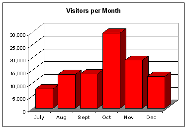 Web guru's visitors per month